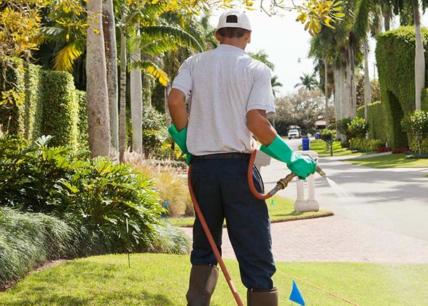 About Drexel Hill PA Pest Control Pros